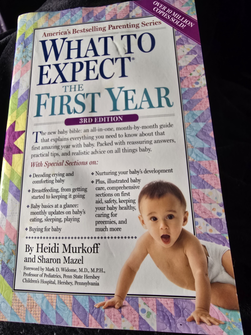 What to Expect the First Year - Baby Care Guide (Purple)